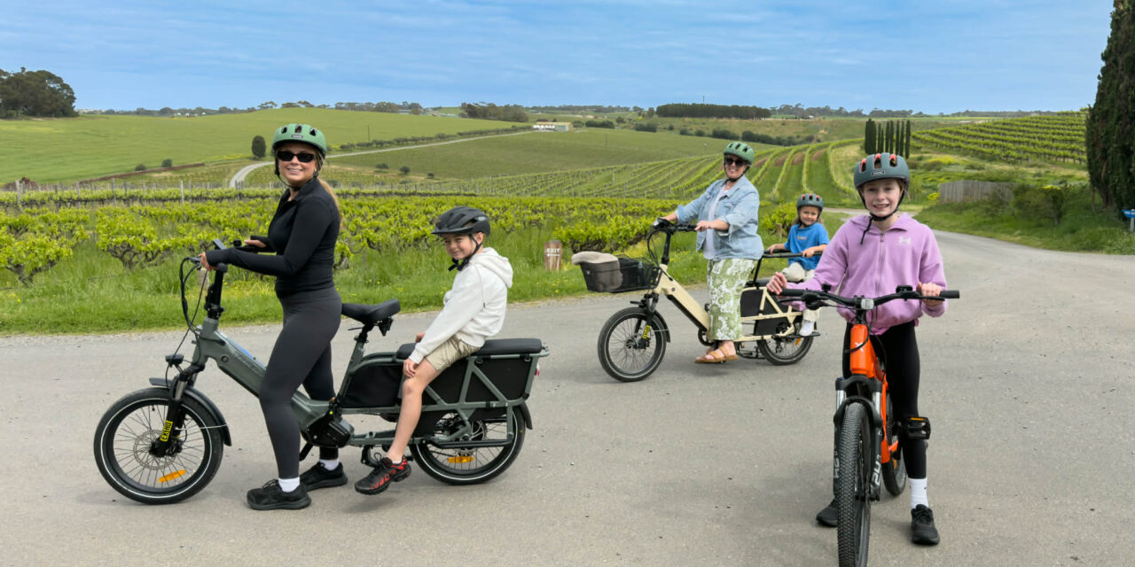 Exploring McLaren Vale by E-Bike, A Fun Family Day Out