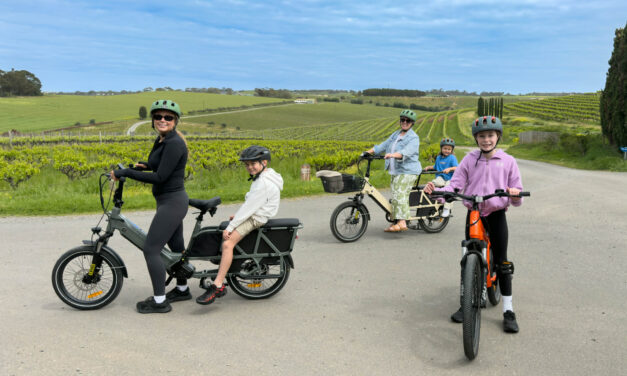 Exploring McLaren Vale by E-Bike, A Fun Family Day Out