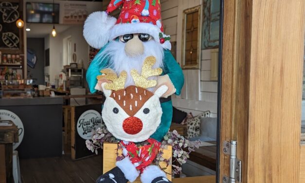 Melbourne Street Christmas Gnome Trail