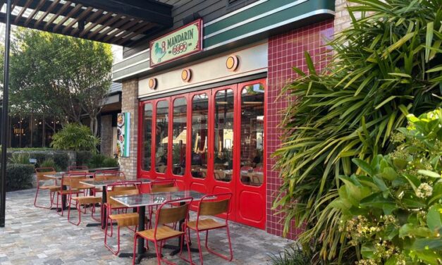 Family Friendly Dining at Mandarin Duck Tea Tree Plaza