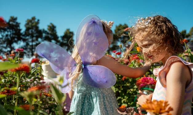 Flower Fairy Birthday Tea Party at Shimmering Pines Farm