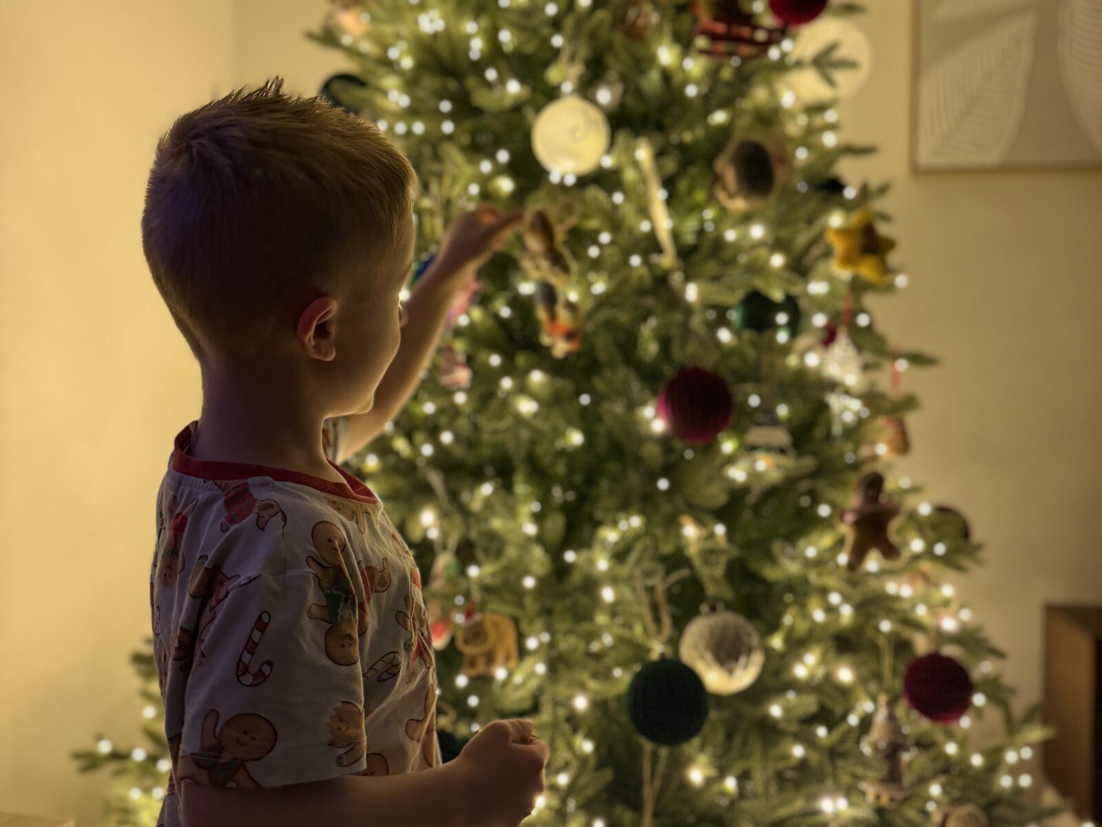 Top 10 Family Christmas Movies