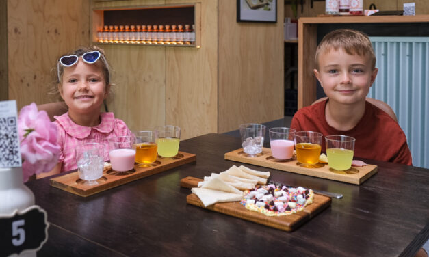 Ginny Pig Distillery, Mount Compass