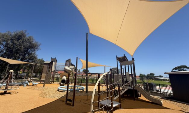 St Morris Reserve Playground