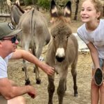 Donkey Discovery – Adelaide Hills