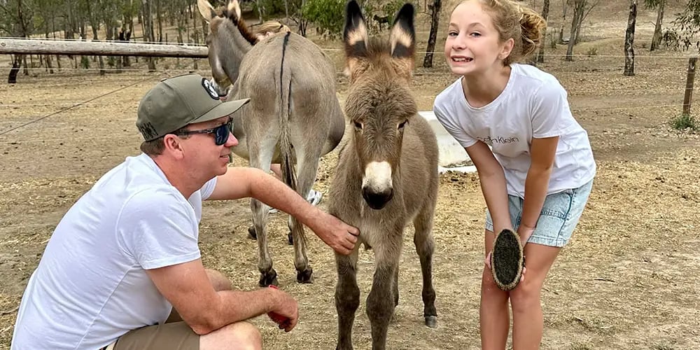 Donkey Discovery – Adelaide Hills