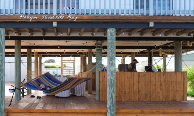 Halcyon, Hardwicke Bay