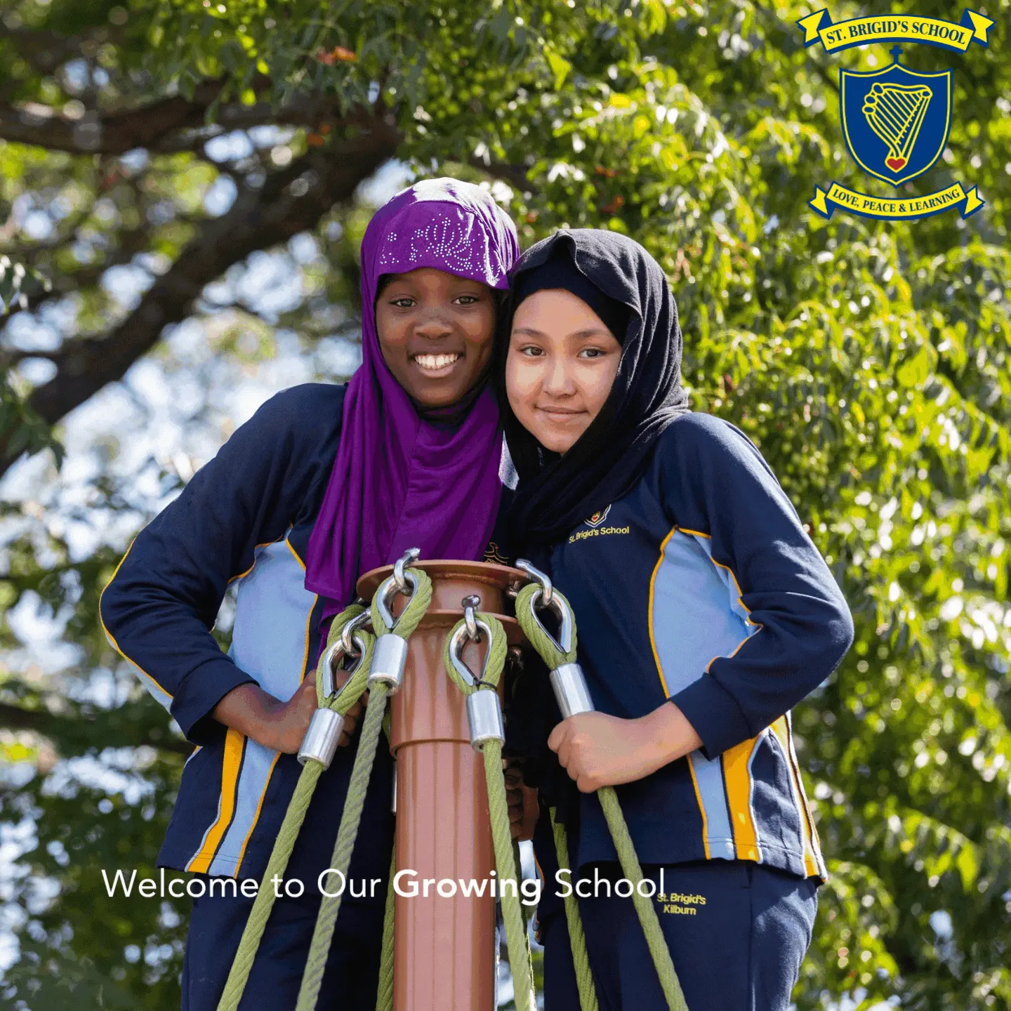 STB sidebar ad – Growing School