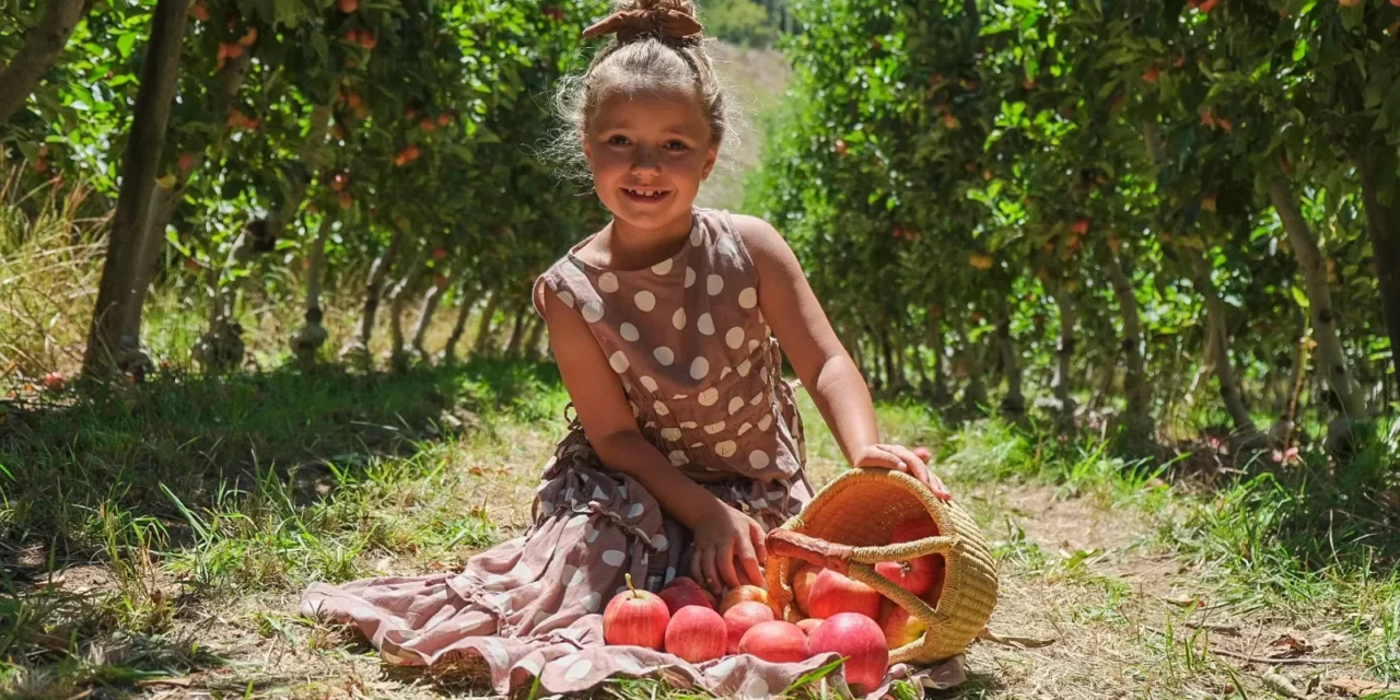 @Lenswood Pick Your Own Orchard