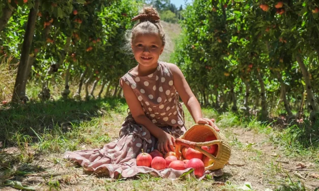 @Lenswood Pick Your Own Orchard