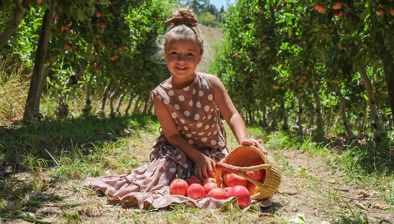 @Lenswood Pick Your Own Orchard