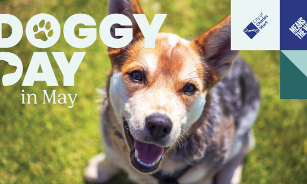 Doggy Day in May – City of Charles Sturt