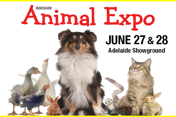 Banner - AE26 - dates - 600 X 400