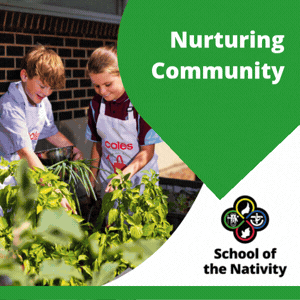 School of Nativity
