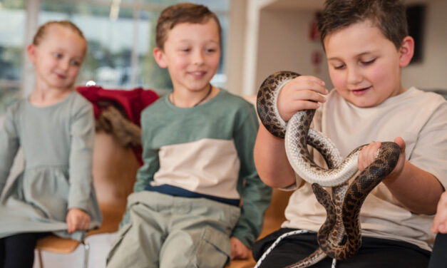 Live the Wildlife at Munno Para Shopping!