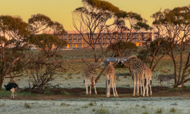 Monarto Safari Resort