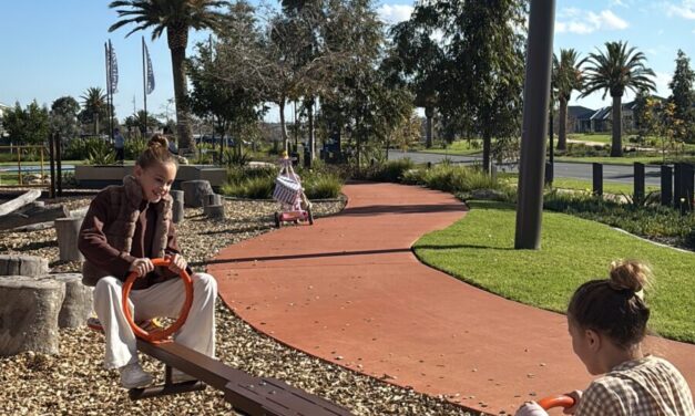 Milner Place Reserve Playground, Riverlea