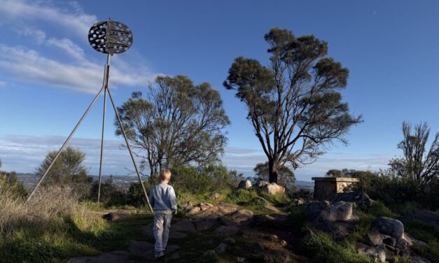 Mount Barker Summit Hike