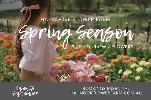HFF Website Banner (KIA)