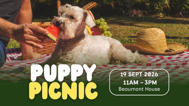 Puppy Picnic