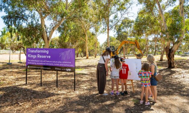 Kings Reserve Playground, Torrensville