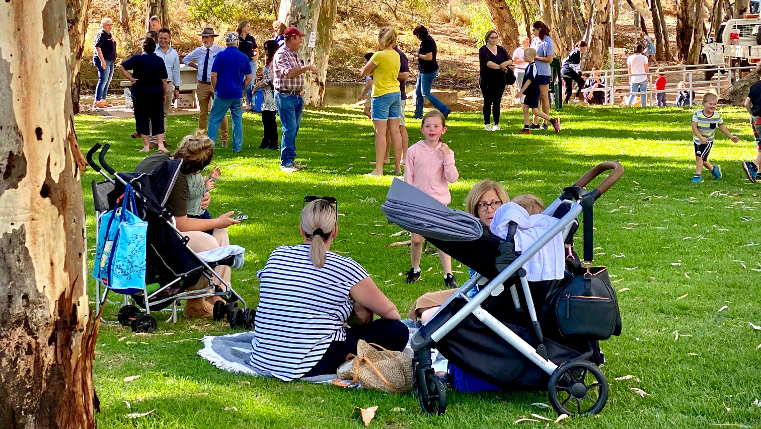 Having a Baby? Here’s How Your Local Council Can Help